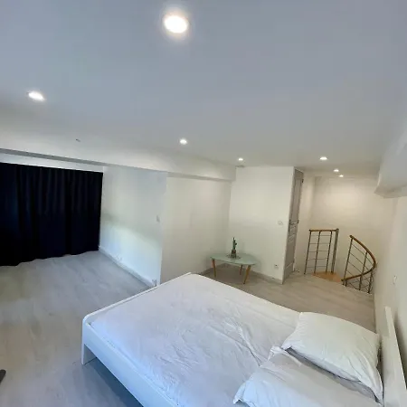 Apartment Loft Fourviere *