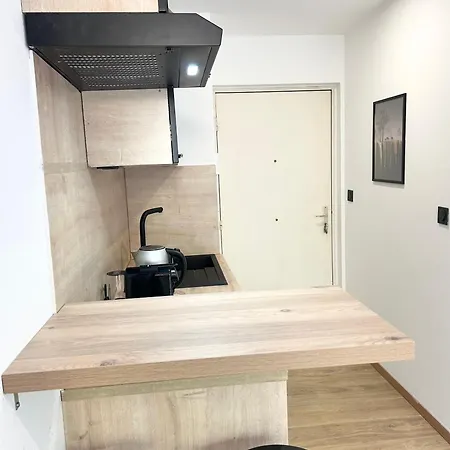 דירה 100m Gare Part-dieu/terrasse/parking Prive ליון