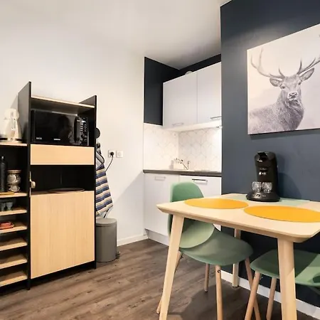 公寓 Cosy Avec Parking 里昂
