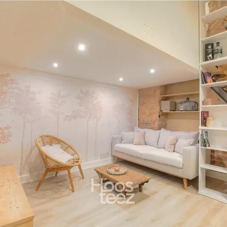 Апартаменты Duplex De Caractere En Hypercentre Лион