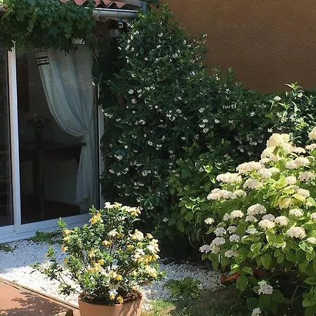 Lejlighed Studio Close Fourviere Very Quiet & Small Terrace *