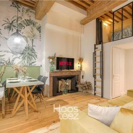 Le Raffine Avec Caractere En Hypercentre Apartamento