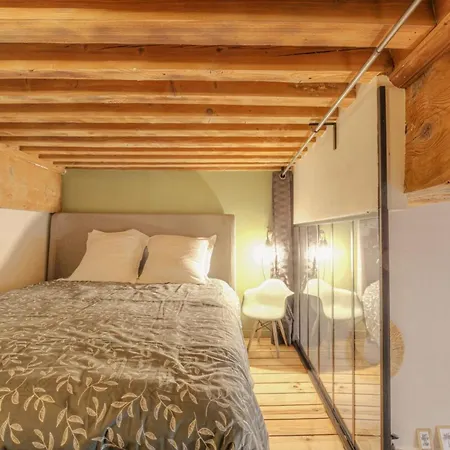 Le Raffine Avec Caractere En Hypercentre Apartamento *