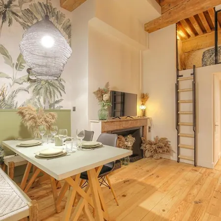 Le Raffine Avec Caractere En Hypercentre Apartamento Lyon