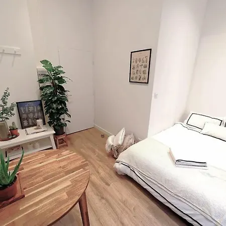 Place Des Terreaux Appartement