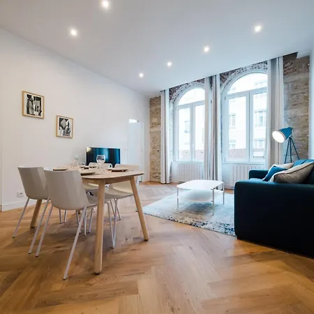 Lumineux T2, Climatise En Centre Ville Ail *