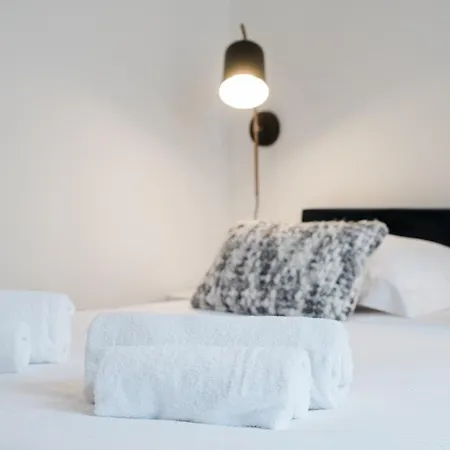 Apartamento Lumineux T2, Climatise En Centre Ville Ail Lyon