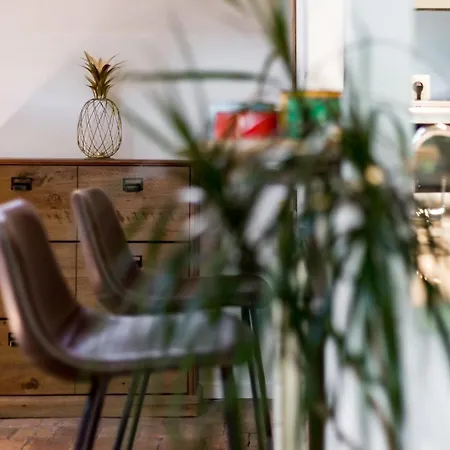 Le Loft Des Artistes De La Croix-rousse Ail Apartment Lyon