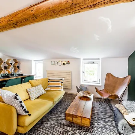 Le Loft Des Artistes De La Croix-rousse Ail Apartment