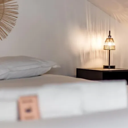 Le Loft Des Artistes De La Croix-rousse Ail *
