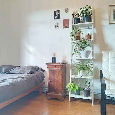Spacieux T3 80m2 Plein Centre Presque Ile ! Apartamento *
