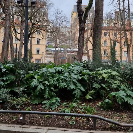 Apartamento Le Cocon Lyonnais *