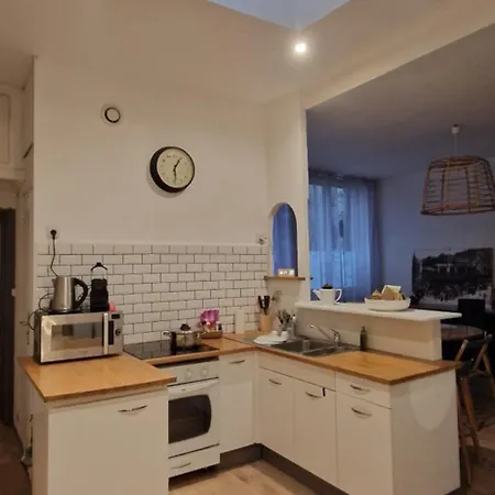 Le Cocon Lyonnais Apartamento Lyon