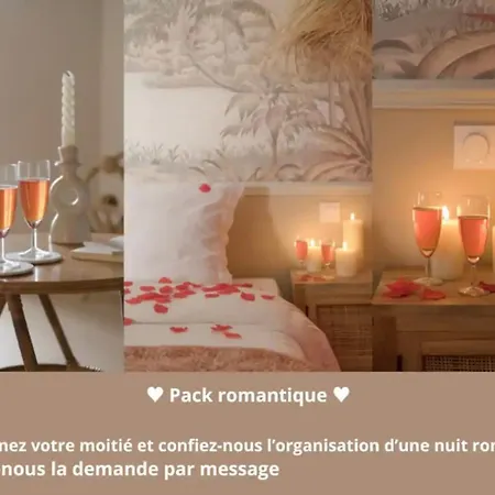 公寓 Cosy Et Chaleureux Wifi Tres Debit 里昂