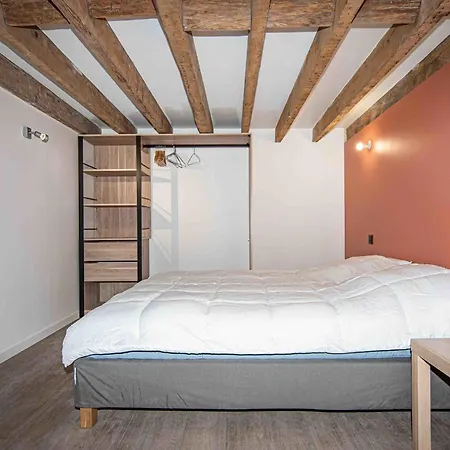 Apartamento With Mezzanine Near The Train Station Lyon