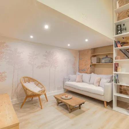 Duplex De Caractere En Hypercentre Apartment Lyon