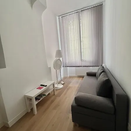 Apartament Joli T2 En Plein Centre-ville De Lyon
