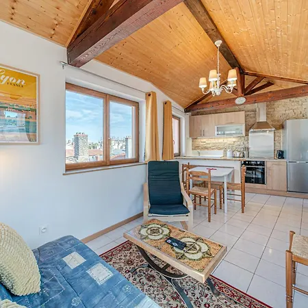 Charming Duplex With Panoramic View Of Cordeliers Apartamento Lyon