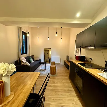 Apartment Cittrine - Check In H24 - Wifi Lyon