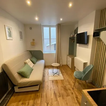 Fully Equipped Perrache Confluence District Practical & Centra Daire Lyon