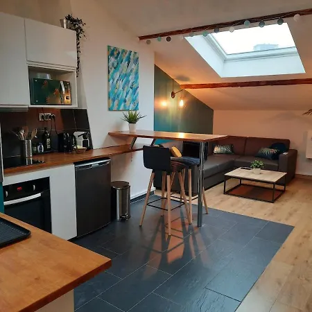 Appartement Grand Proche Metro Avec Climatisation Lyon