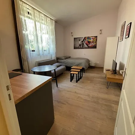 Coeur Monplaisir Apartment Lyon