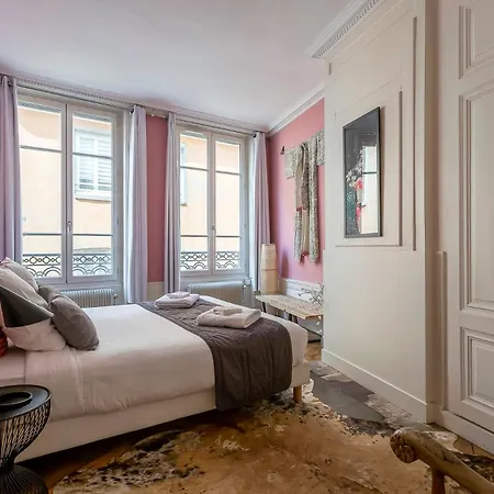 Curiosite - Furnished - Downtown Lyon