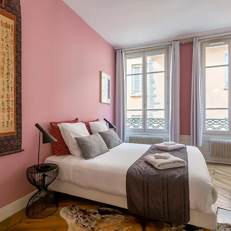 Curiosite - Furnished - Downtown Daire Lyon