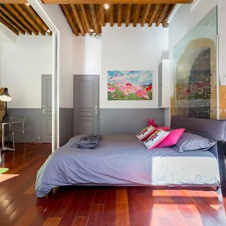 Le Duplex De Fourviere דירה ליון