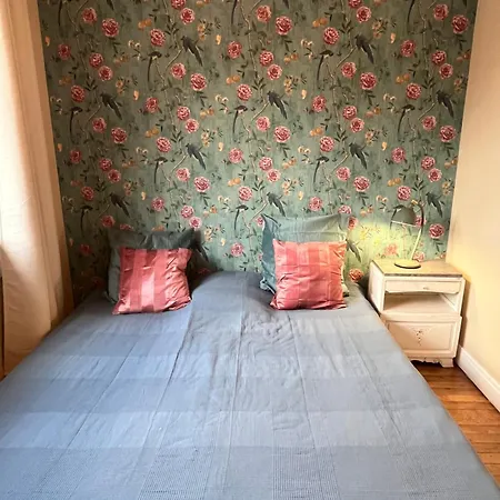 New & Cozy Daire