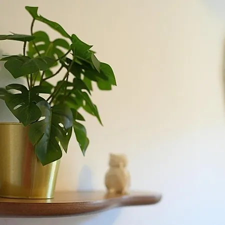 Appartement Cosy Et Design Entre Partdieu Et Charpennes Lyon