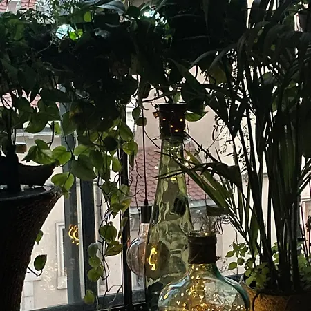 Coeur Du Vieux Et Zone De Loisir