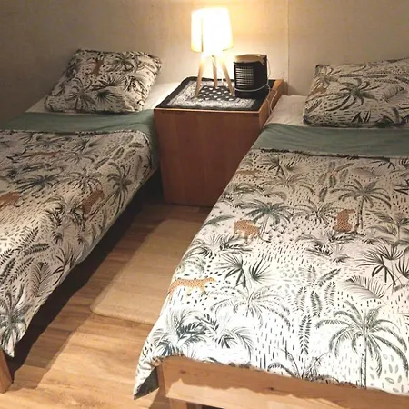 Loft Viarhona, Grand Loft En Centre-ville *