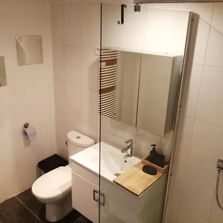 Loft Viarhona, Grand Loft En Centre-ville *