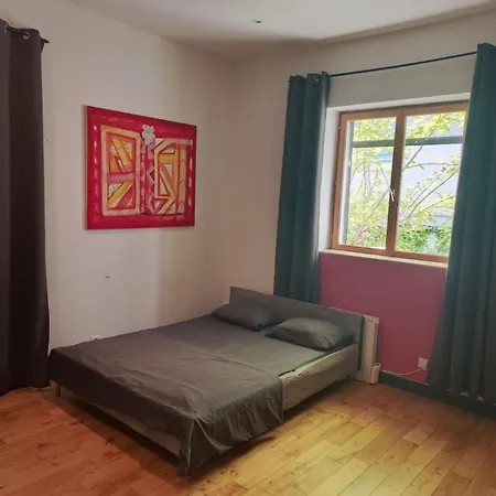 Loft Viarhona, Grand Loft En Centre-ville Accommodatie bij particulieren Lyon