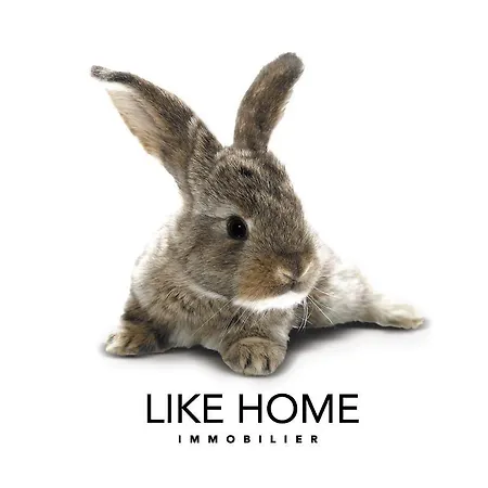 Like - Sainte Catherine 里昂