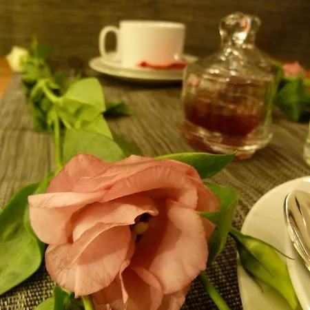 Bed & Breakfast Des Canuts Lione