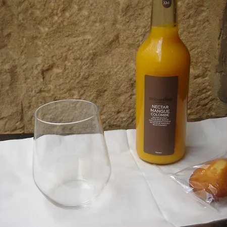 Les Annexes De L'hotel Tete D'or * ליון