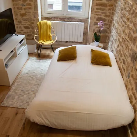 Apartment Hamac - Ainay 4 - Hyper Centre *