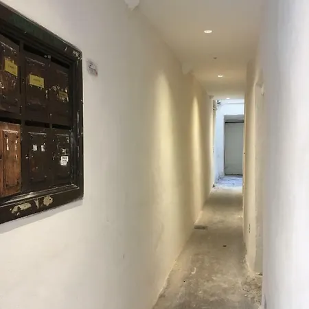 Standing Historic 公寓 里昂
