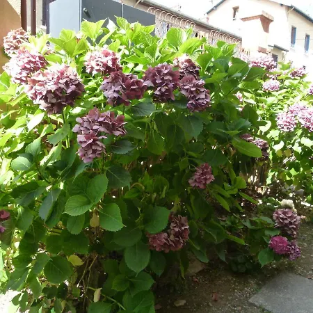 Apartment Calme Avec Jardin, Tram T6 Et Metro D, 8 Lyon