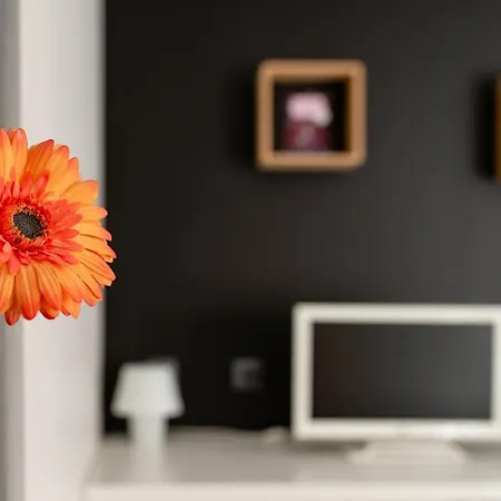 Apartamento Le 9eme- Metro Valmy-homalyon Lyon