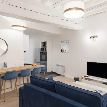 Le Nid Du Lion - Joli T2 Quartier St Georges Au Calme 公寓 里昂