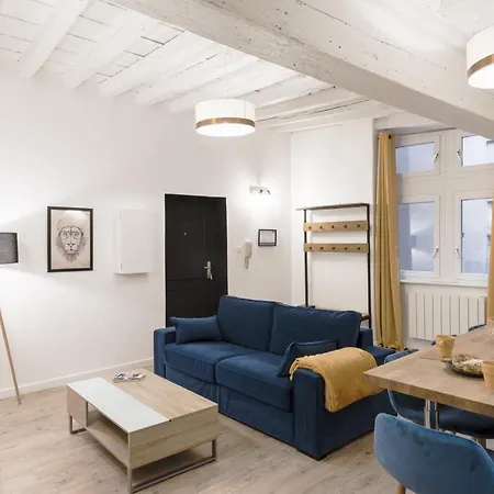 Le Nid Du Lion - Joli T2 Quartier St Georges Au Calme 公寓 *