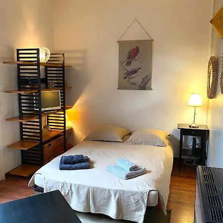 Lejlighed Le Balcon De Jules - Charmant Pied-a-terre - Parking Possible Pour Vehicule De Moins De 4,40 M De Long Lyon