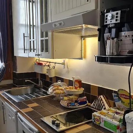 住宿加早餐酒店 里昂古老公寓