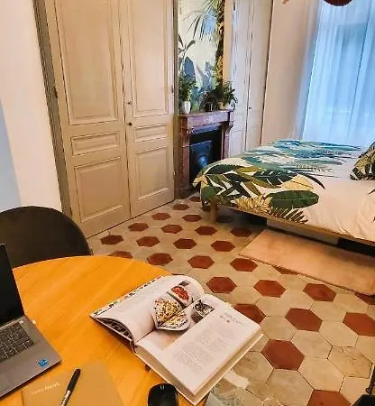 Daire De Charme Au Coeur De Lyon