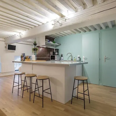 Elegant Loft - 4 People - Place Sathonay Lyon