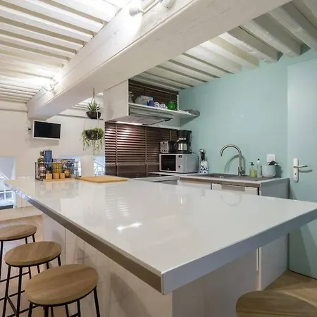 Elegant Loft - 4 People - Place Sathonay Appartement Lyon