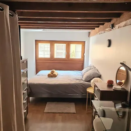 Duplex Atypique Loft 6 * Лион
